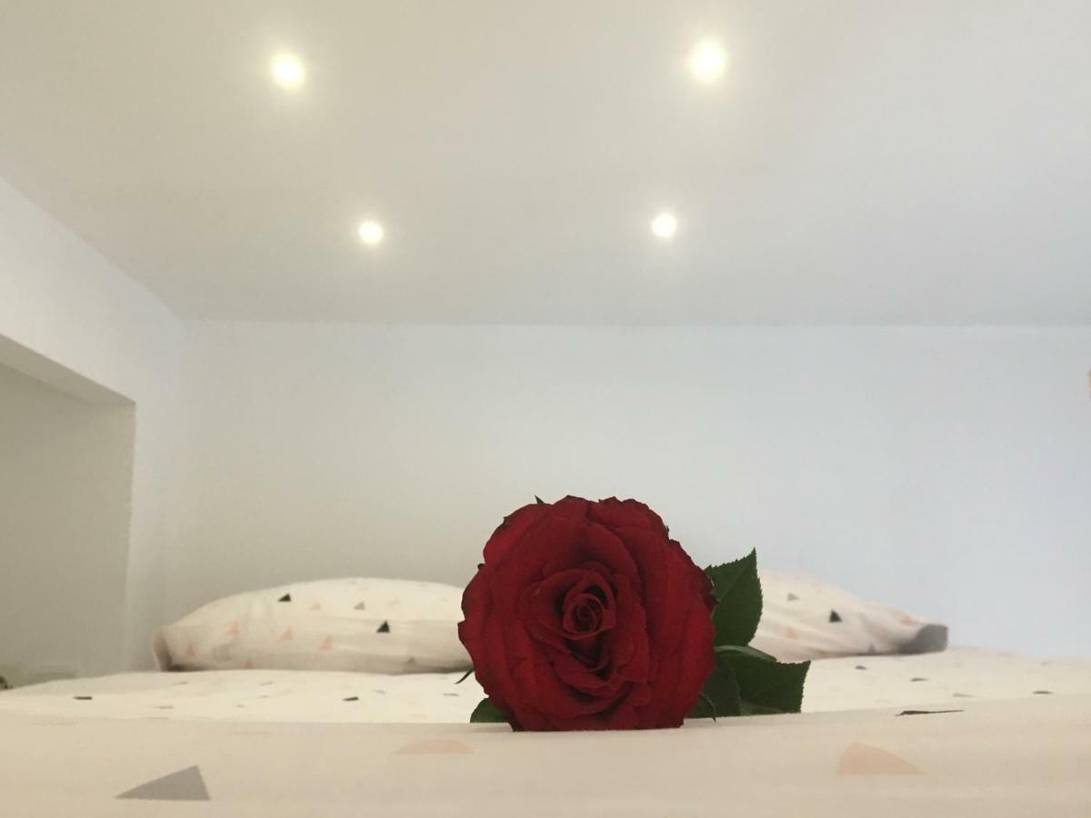 Studio Cosy Bourges Extérieur photo